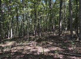 5.05 Ac Hoy Rd, Augusta, WV 26704