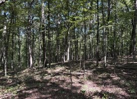 5.05 Ac Hoy Rd, Augusta, WV 26704