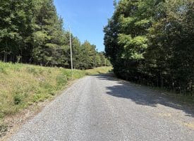 11.79 Ac W Hamilton Estates Dr, Romney, WV 26757