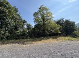 11.79 Ac W Hamilton Estates Dr, Romney, WV 26757