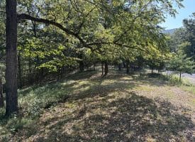 11.79 Ac W Hamilton Estates Dr, Romney, WV 26757