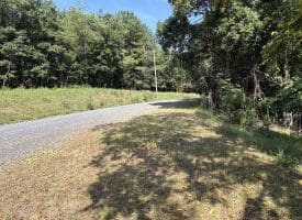 11.79 Ac W Hamilton Estates Dr, Romney, WV 26757