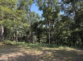 11.79 Ac W Hamilton Estates Dr, Romney, WV 26757
