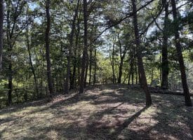 11.79 Ac W Hamilton Estates Dr, Romney, WV 26757