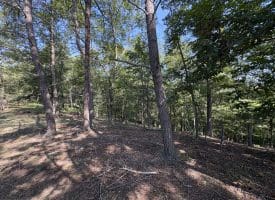 11.79 Ac W Hamilton Estates Dr, Romney, WV 26757