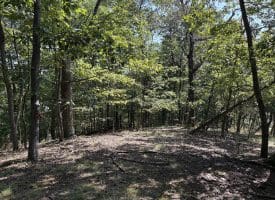 11.79 Ac W Hamilton Estates Dr, Romney, WV 26757
