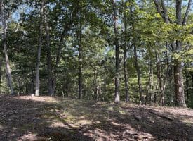 11.79 Ac W Hamilton Estates Dr, Romney, WV 26757