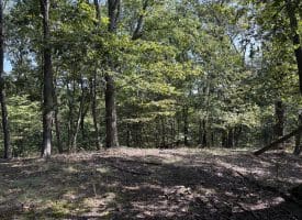 11.79 Ac W Hamilton Estates Dr, Romney, WV 26757