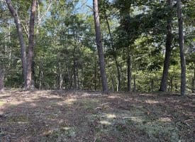 11.79 Ac W Hamilton Estates Dr, Romney, WV 26757