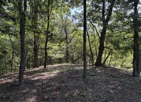 11.79 Ac W Hamilton Estates Dr, Romney, WV 26757