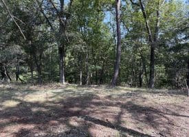 11.79 Ac W Hamilton Estates Dr, Romney, WV 26757