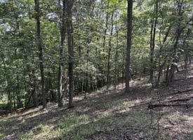 11.79 Ac W Hamilton Estates Dr, Romney, WV 26757