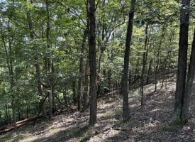 11.79 Ac W Hamilton Estates Dr, Romney, WV 26757