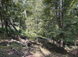 11.79 Ac W Hamilton Estates Dr, Romney, WV 26757