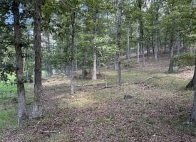 20.32 Ac Trough Rd, Moorefield, WV 26836