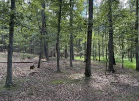 20.32 Ac Trough Rd, Moorefield, WV 26836