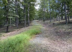 20.32 Ac Trough Rd, Moorefield, WV 26836