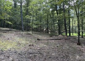 20.32 Ac Trough Rd, Moorefield, WV 26836