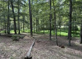 20.32 Ac Trough Rd, Moorefield, WV 26836