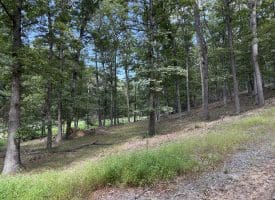 20.32 Ac Trough Rd, Moorefield, WV 26836