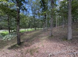 20.32 Ac Trough Rd, Moorefield, WV 26836