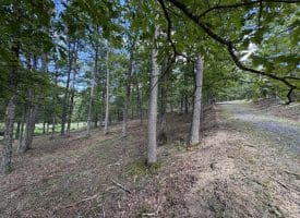 20.32 Ac Trough Rd, Moorefield, WV 26836