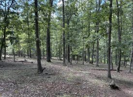 20.32 Ac Trough Rd, Moorefield, WV 26836