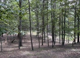 20.32 Ac Trough Rd, Moorefield, WV 26836