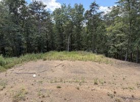 20.32 Ac Trough Rd, Moorefield, WV 26836