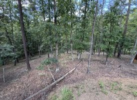 20.32 Ac Trough Rd, Moorefield, WV 26836