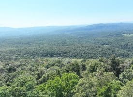 4.16 Ac Falconwood Rd, Paw Paw, WV 25434