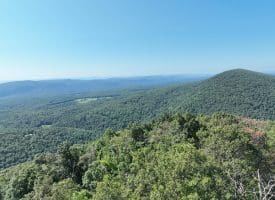 4.16 Ac Falconwood Rd, Paw Paw, WV 25434