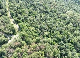 4.16 Ac Falconwood Rd, Paw Paw, WV 25434