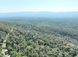 4.16 Ac Falconwood Rd, Paw Paw, WV 25434