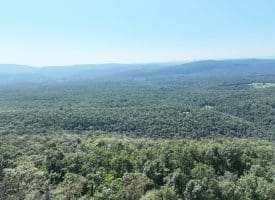 4.16 Ac Falconwood Rd, Paw Paw, WV 25434
