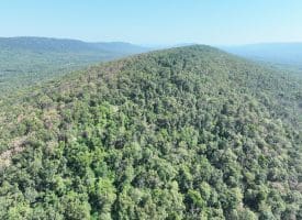 4.16 Ac Falconwood Rd, Paw Paw, WV 25434