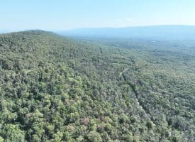 4.16 Ac Falconwood Rd, Paw Paw, WV 25434