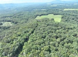 5.05 Ac Hoy Rd, Augusta, WV 26704