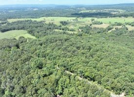 5.05 Ac Hoy Rd, Augusta, WV 26704