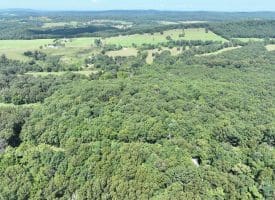 5.05 Ac Hoy Rd, Augusta, WV 26704