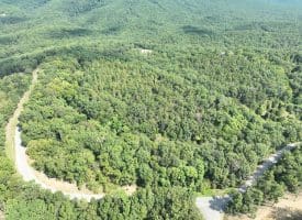 11.79 Ac W Hamilton Estates Dr, Romney, WV 26757