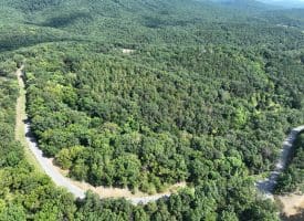 11.79 Ac W Hamilton Estates Dr, Romney, WV 26757
