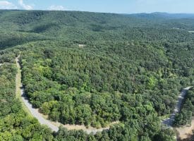 11.79 Ac W Hamilton Estates Dr, Romney, WV 26757