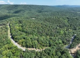 11.79 Ac W Hamilton Estates Dr, Romney, WV 26757