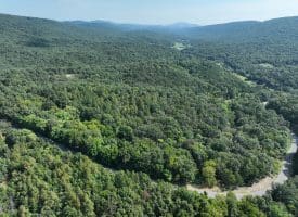 11.79 Ac W Hamilton Estates Dr, Romney, WV 26757