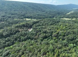 11.79 Ac W Hamilton Estates Dr, Romney, WV 26757