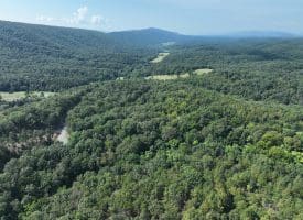 11.79 Ac W Hamilton Estates Dr, Romney, WV 26757