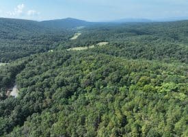 11.79 Ac W Hamilton Estates Dr, Romney, WV 26757