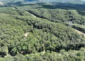 20.32 Ac Trough Rd, Moorefield, WV 26836