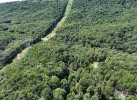 20.32 Ac Trough Rd, Moorefield, WV 26836